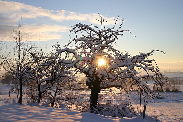 Kuttolsheim hiver 2010